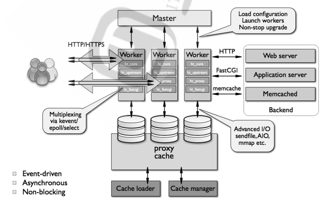 image-20221118084915567