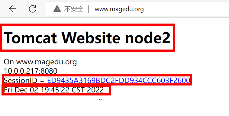 image-20221202194551409