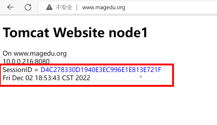 image-20221202185420285